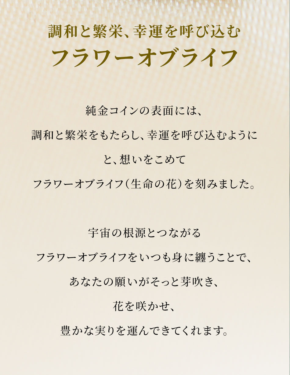 【招福堂】Horseshoe Amulet『ラッキーブルーム』ツインチャームネックレス