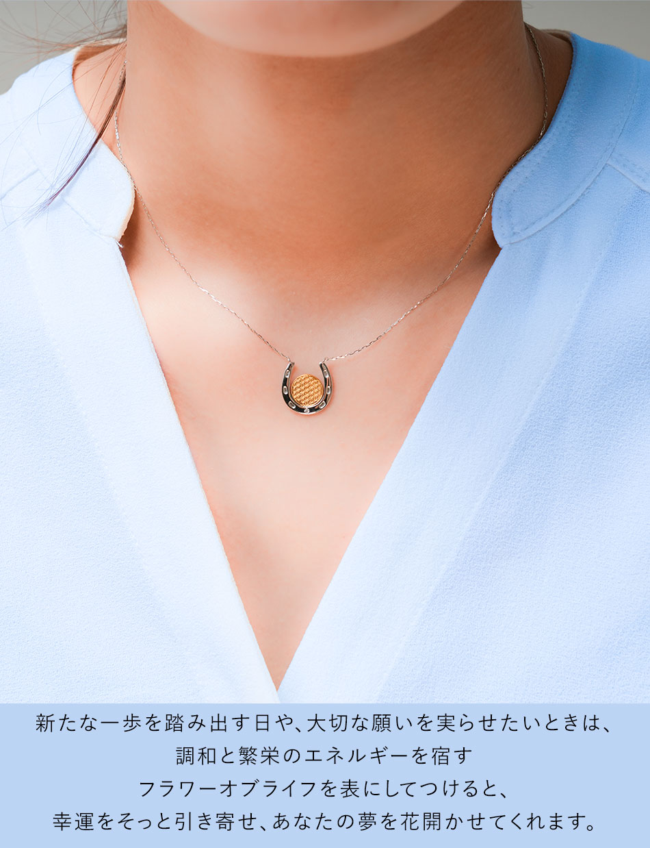 【招福堂】Horseshoe Amulet『ラッキーブルーム』ツインチャームネックレス