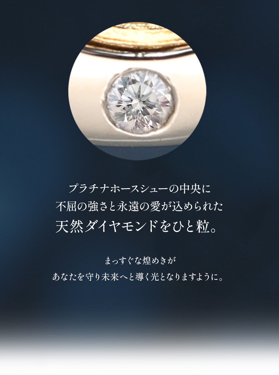 ホースシューアミュレット「天空の羅針盤」