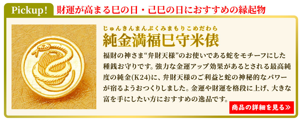 財運が高まる巳年におすすめの種銭