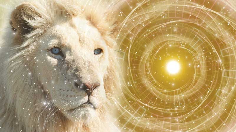 宇宙のエネルギーが降り注ぐライオンズゲート2026年8月8日