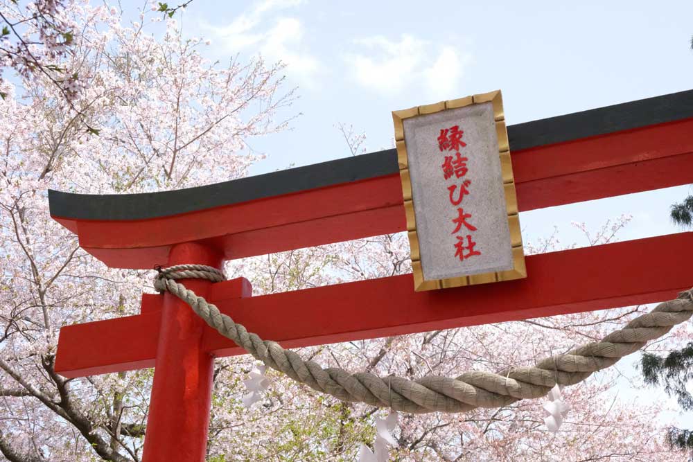縁結び神社の鳥居