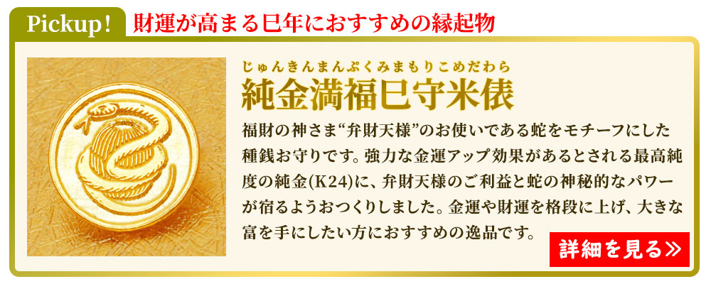 財運が高まる巳年におすすめの種銭