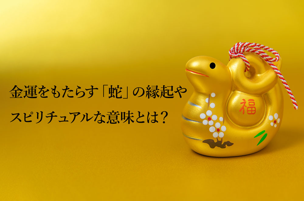 スピリチュアルな雰囲気をまとった蛇