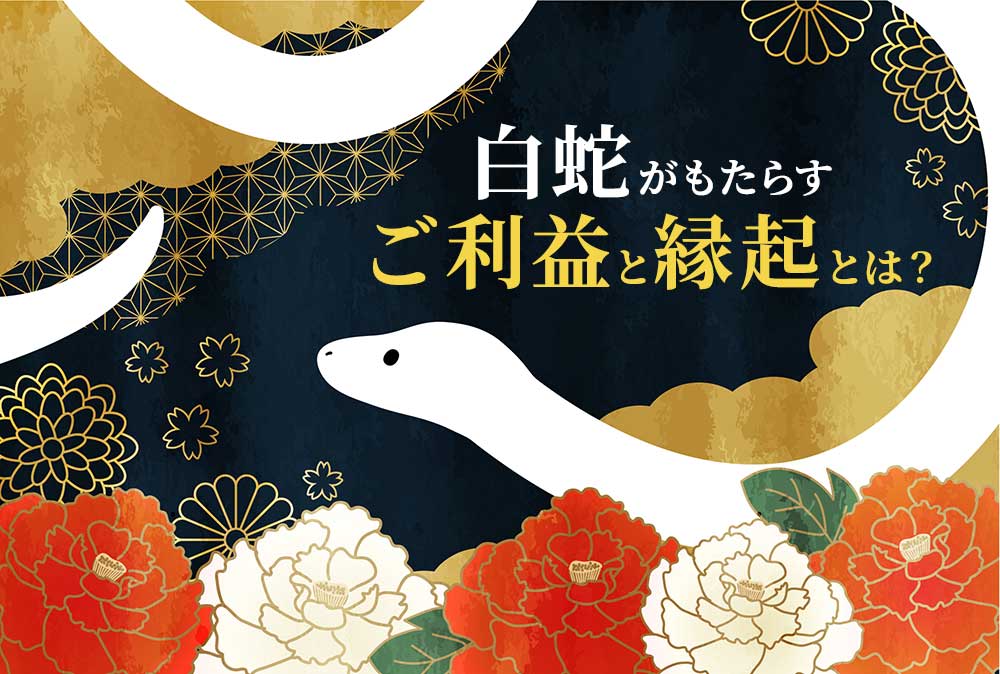白蛇のご利益とは?なぜ縁起が良いの?