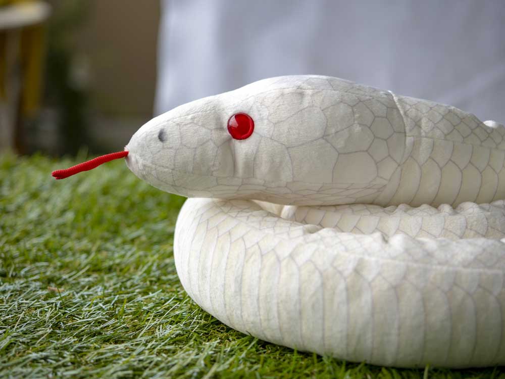 白蛇は自然界に居るアルビノ種